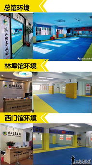 恭喜鵬山跆拳道館 接受汕尾電視臺的現(xiàn)場采訪