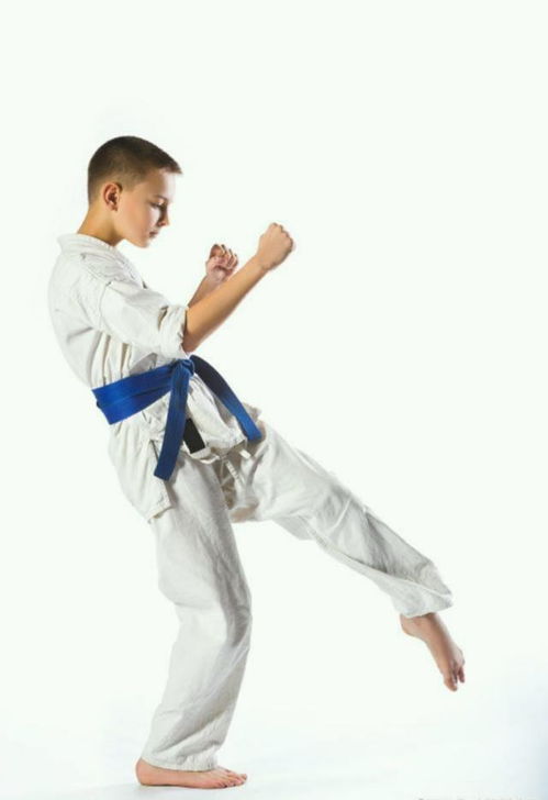 萬達商場內(nèi)武館和跆拳道館人員發(fā)生沖突 網(wǎng)友 看來跆拳道不行啊