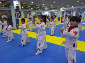 育仁跆拳道 鄭州精選跆拳道館，塑造健康體魄與堅(jiān)韌品格