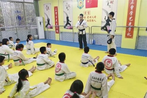 林軒跆拳道館加盟優(yōu)勢 打造專業(yè)與品牌共贏的創(chuàng)業(yè)平臺