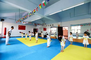 馬壩跆拳道館放大招 課程、服裝、書包免費(fèi)送，開啟健康運(yùn)動新篇章
