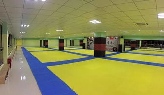 金湖最像宋仲基的男人，開了一家超人氣跆拳道館，文末有福利！